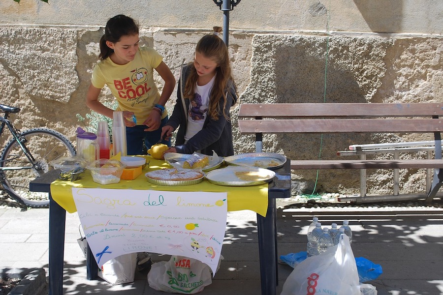 Do Kids Need A Permit For A Lemonade Stand Or Bake Sale 