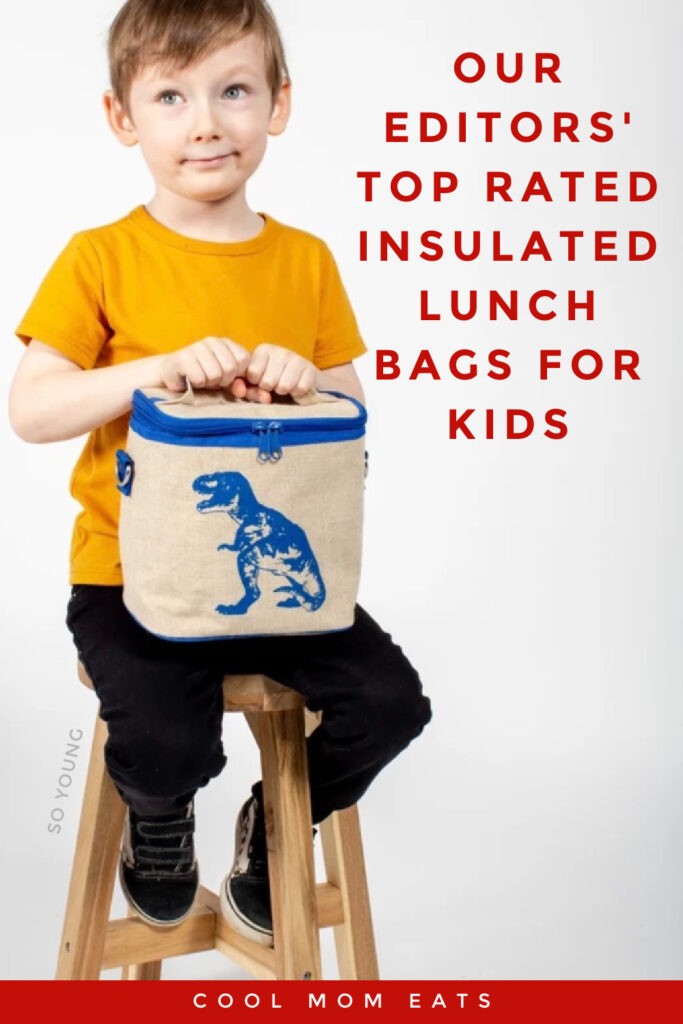 The best insulated lunch bags for kids: 7 top picks including the bags from SoYoung