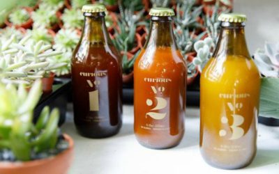 Dry January idea: Curious Elixirs are sophisticated, alcohol free, and ready to serve.