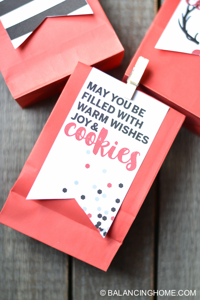 Print out these homemade cookie gift tags from Balancing home and clip them to bags filled with some cookie treats