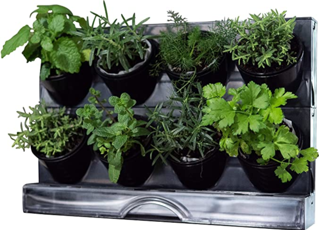 How to start an indoor herb garden: Countertop Garden Kit from Amazon