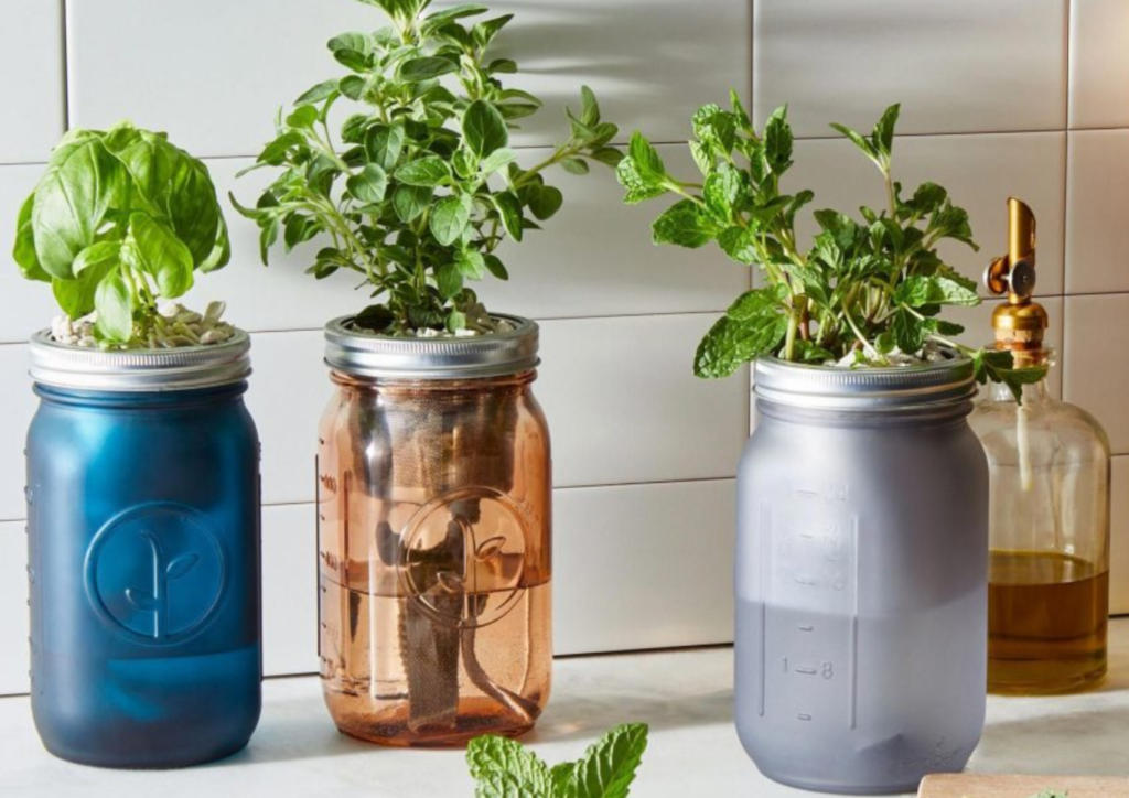 How to start an indoor herb garden: Make a self-watering garden