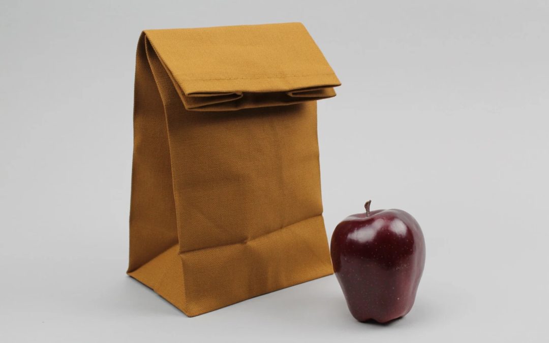 Lunch bags for teens and big kids who are too cool for lunch boxes now | Back to School Guide
