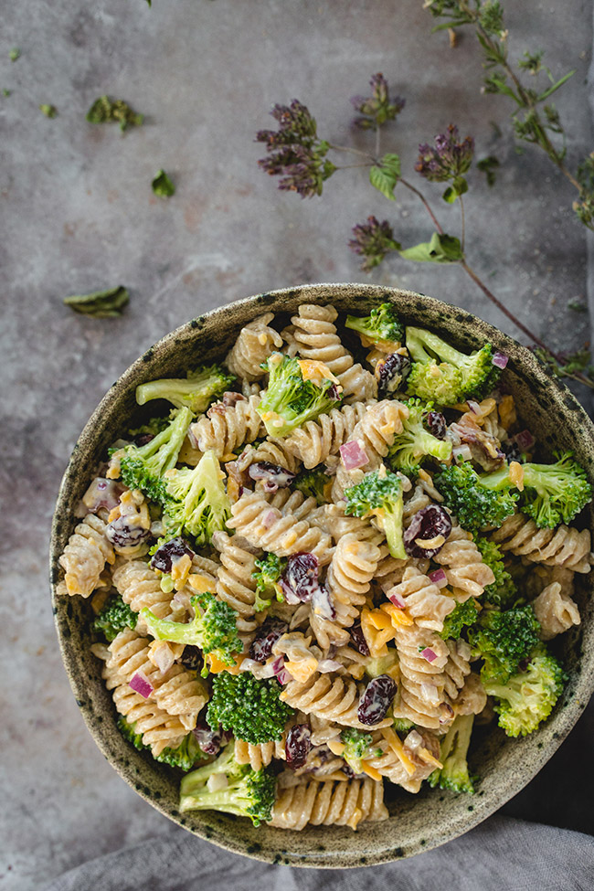 Fall Pasta Salad recipes | Broccoli Cheddar Pasta Salad with Cranberries
