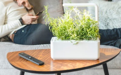 Yes, the Click n Grow smart garden is worth it, if you want fresh herbs year round.